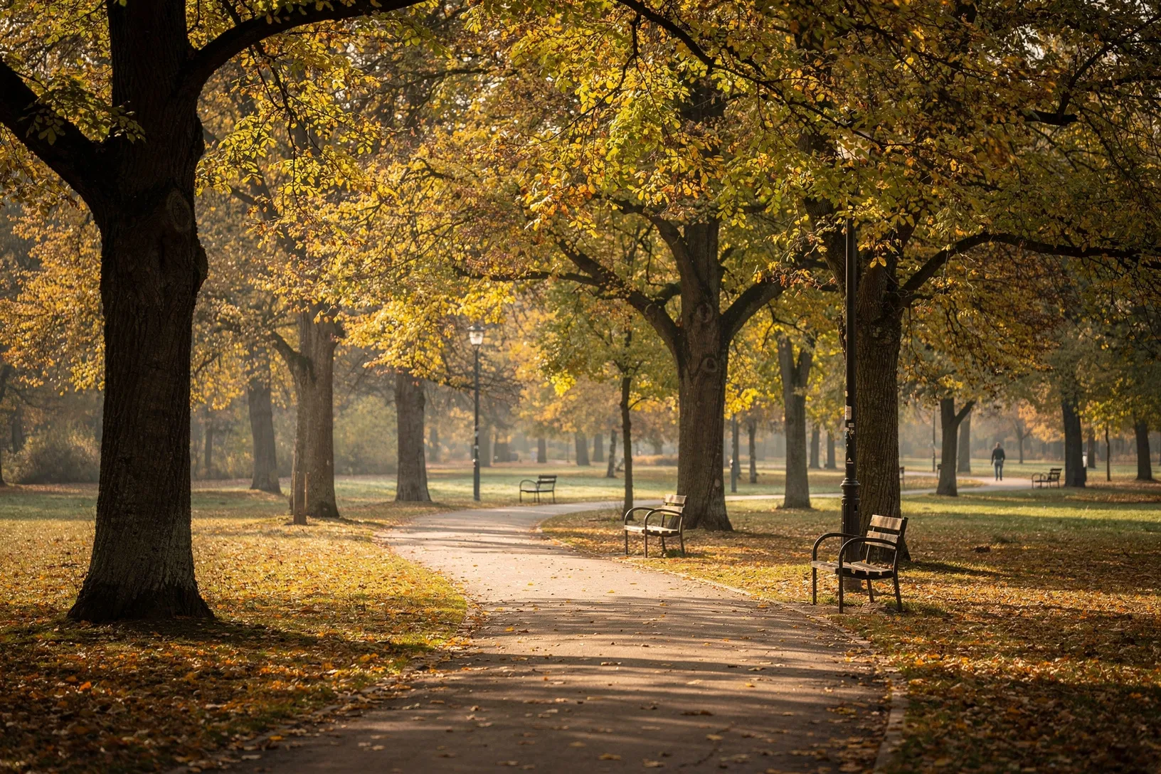 Ein ruhiger Weg in einem Leipziger Park im Herbst.